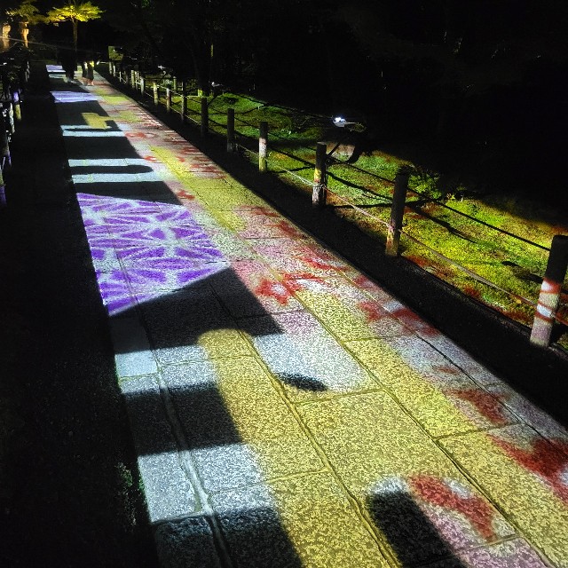 f:id:atoriatoriatori:20231015213812j:image