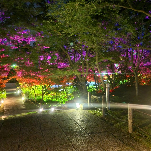 f:id:atoriatoriatori:20231016102957j:image