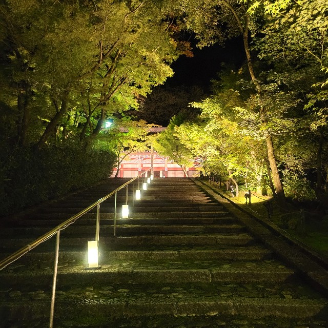 f:id:atoriatoriatori:20231016114546j:image