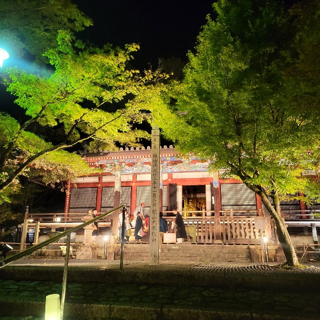 f:id:atoriatoriatori:20231016114625j:image