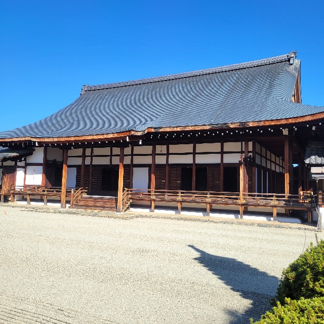 f:id:atoriatoriatori:20231024105135j:image f:id:atoriatoriatori:20231024105135j:image