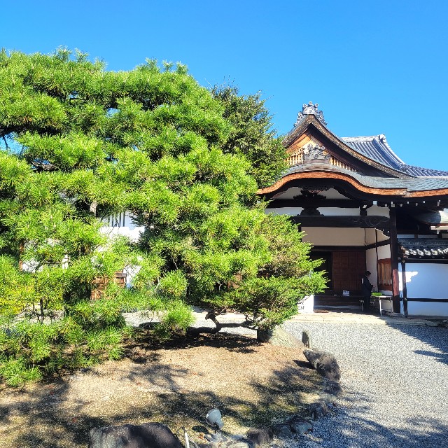 f:id:atoriatoriatori:20231024145101j:image f:id:atoriatoriatori:20231024145101j:image