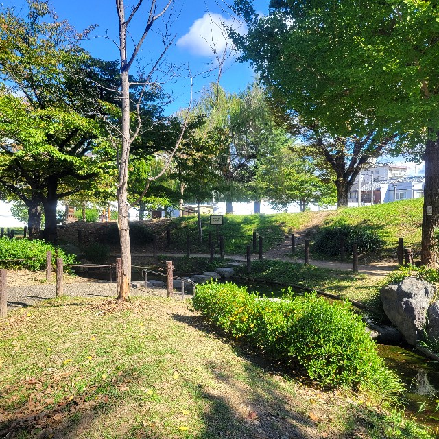 f:id:atoriatoriatori:20231031101638j:image