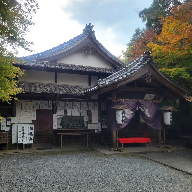 f:id:atoriatoriatori:20231111103944j:image