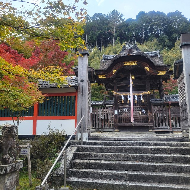 f:id:atoriatoriatori:20231112202855j:image