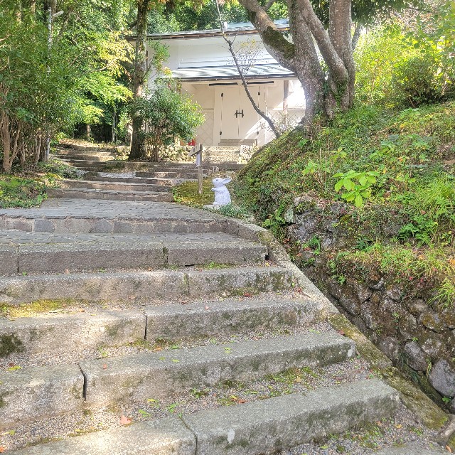 f:id:atoriatoriatori:20231113164850j:image