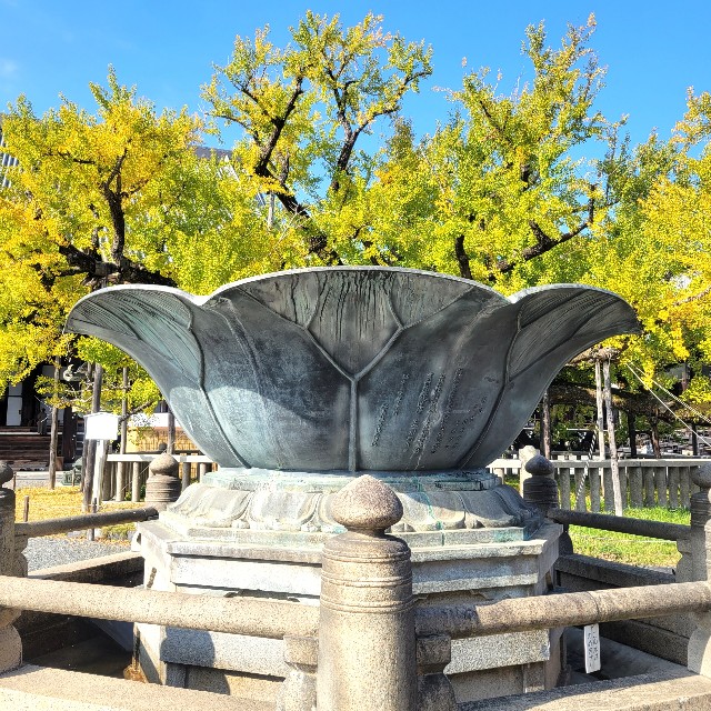 f:id:atoriatoriatori:20231118152541j:image