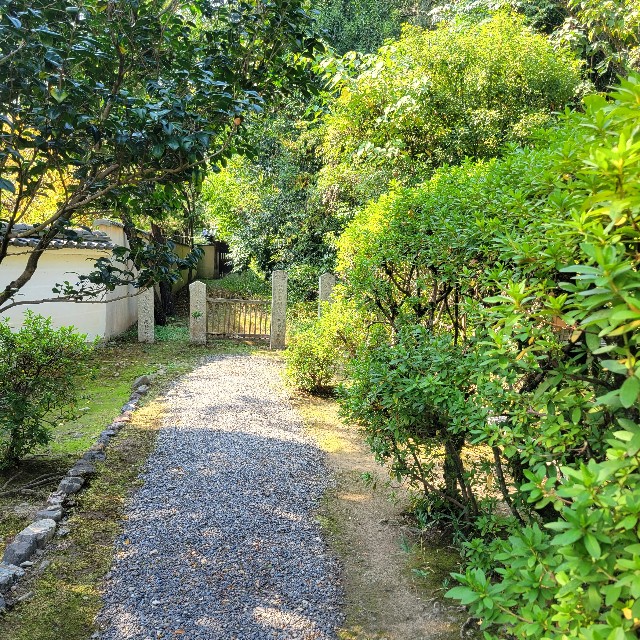 f:id:atoriatoriatori:20231123145450j:image