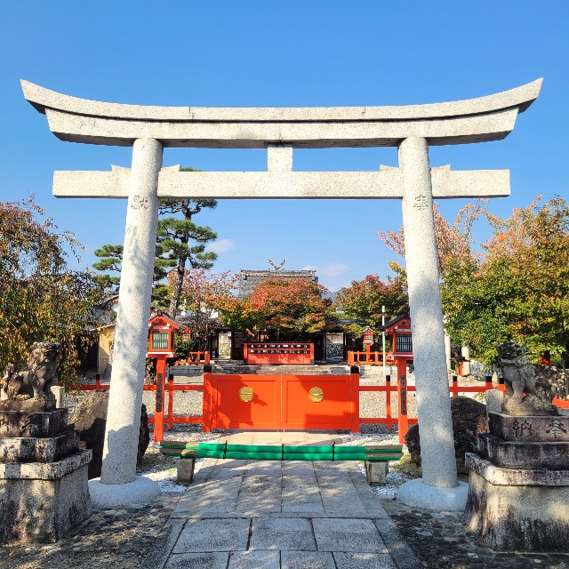 f:id:atoriatoriatori:20231124154340j:image