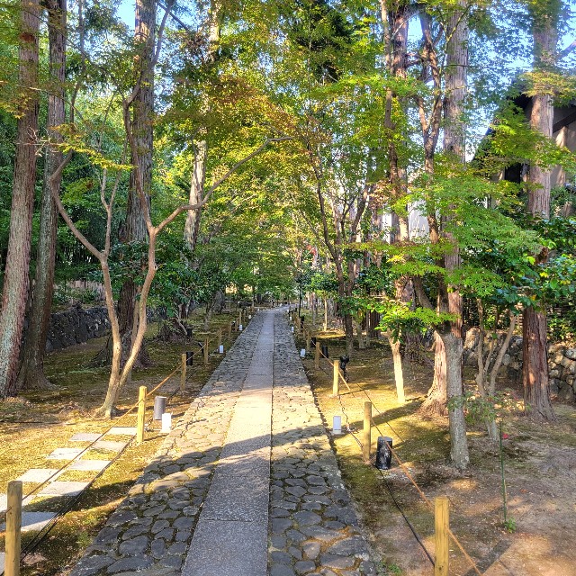 f:id:atoriatoriatori:20231124211935j:image