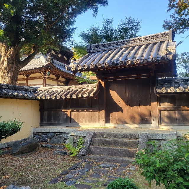 f:id:atoriatoriatori:20231125082028j:image