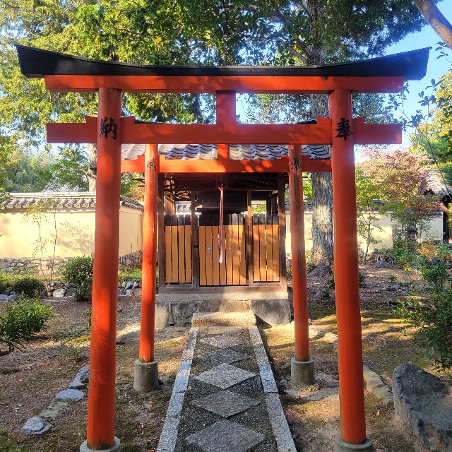 f:id:atoriatoriatori:20231125082036j:image