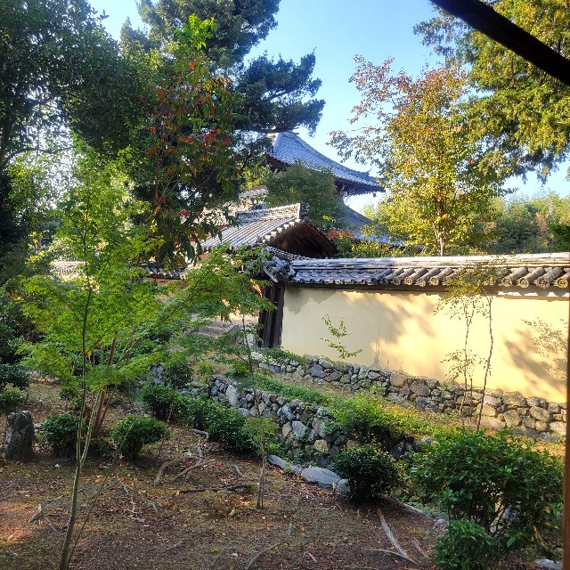 f:id:atoriatoriatori:20231125082043j:image