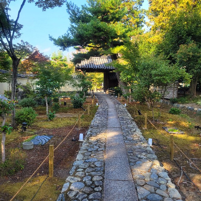 f:id:atoriatoriatori:20231125082226j:image