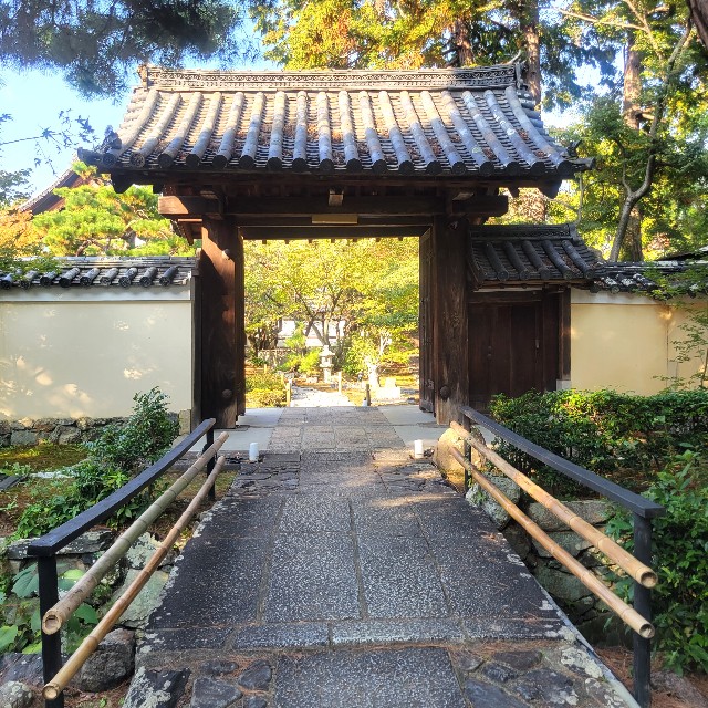 f:id:atoriatoriatori:20231125082233j:image