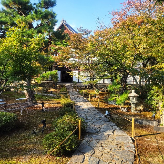 f:id:atoriatoriatori:20231125082249j:image