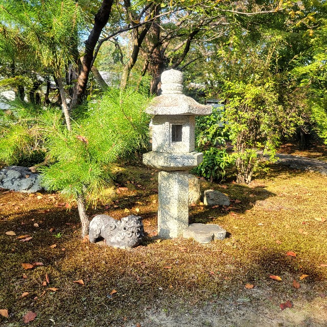 f:id:atoriatoriatori:20231125082601j:image