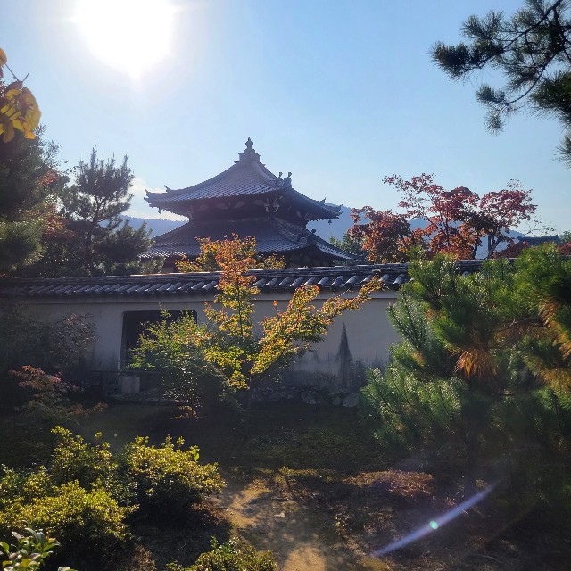 f:id:atoriatoriatori:20231125082723j:image