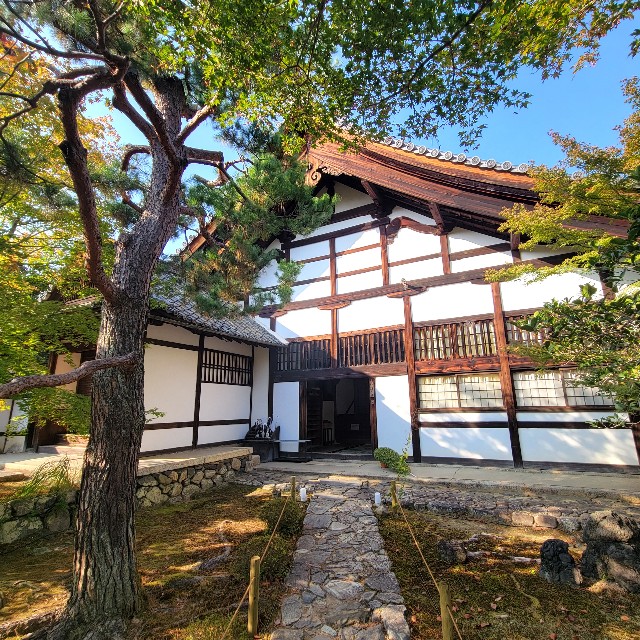 f:id:atoriatoriatori:20231125082935j:image