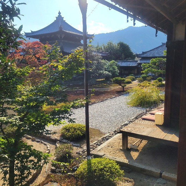 f:id:atoriatoriatori:20231125194525j:image