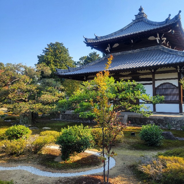 f:id:atoriatoriatori:20231125195602j:image