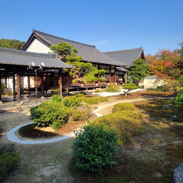 f:id:atoriatoriatori:20231125200535j:image