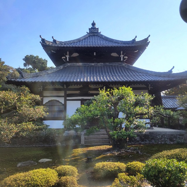 f:id:atoriatoriatori:20231125220416j:image