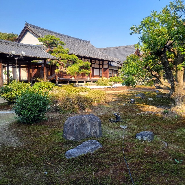 f:id:atoriatoriatori:20231125220433j:image