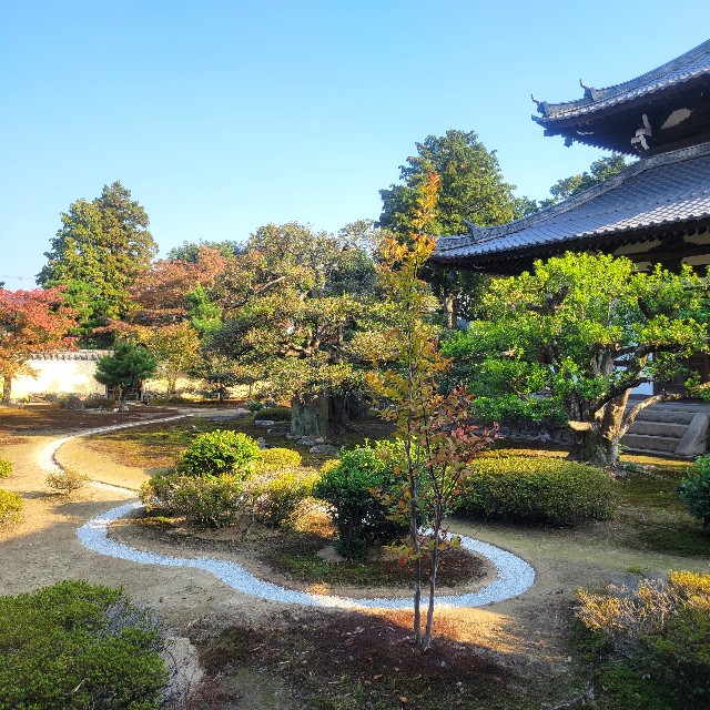 f:id:atoriatoriatori:20231125220442j:image