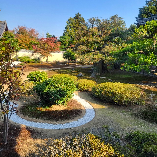 f:id:atoriatoriatori:20231125220505j:image