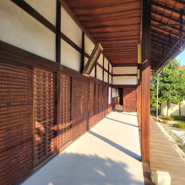 f:id:atoriatoriatori:20231125220833j:image