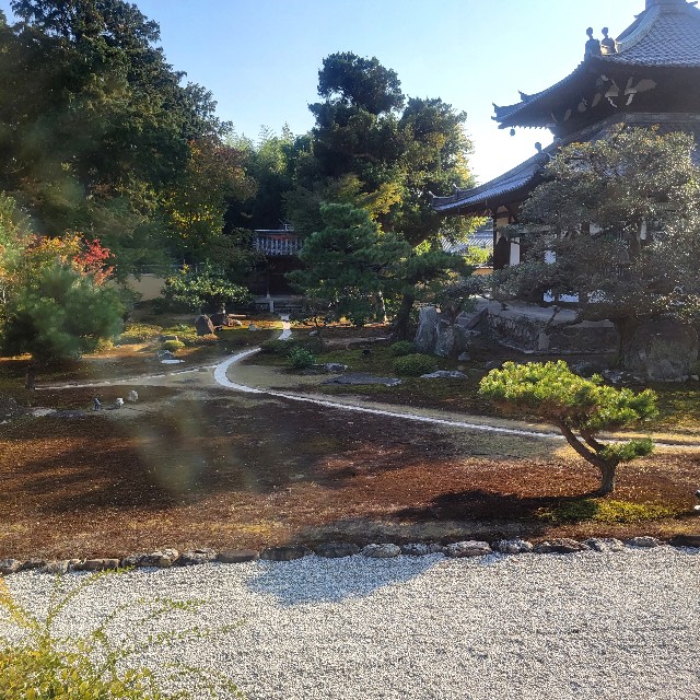 f:id:atoriatoriatori:20231126092831j:image