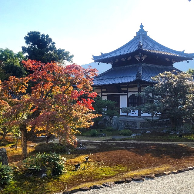 f:id:atoriatoriatori:20231126111856j:image