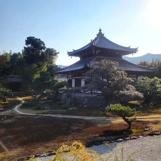 f:id:atoriatoriatori:20231126111923j:image