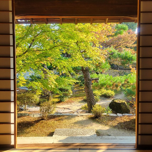 f:id:atoriatoriatori:20231126201413j:image