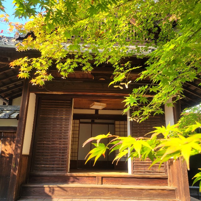 f:id:atoriatoriatori:20231126201435j:image