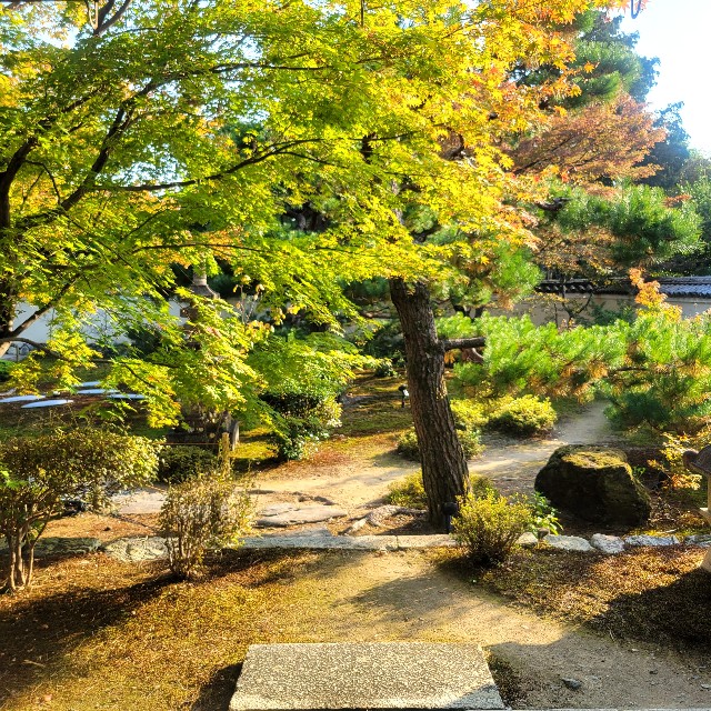 f:id:atoriatoriatori:20231126201900j:image