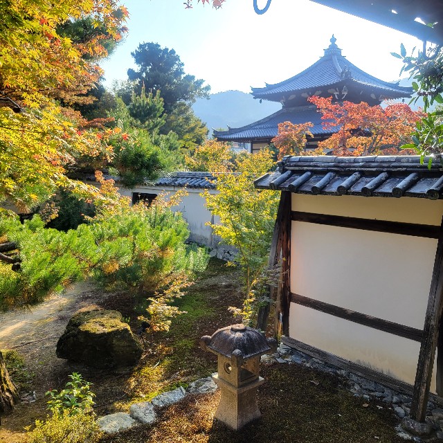 f:id:atoriatoriatori:20231126201907j:image