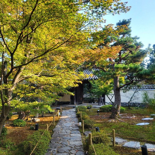 f:id:atoriatoriatori:20231126202559j:image