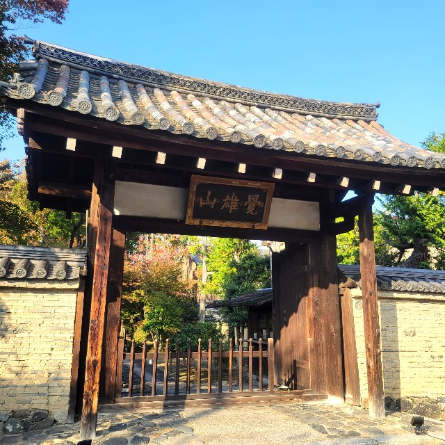 f:id:atoriatoriatori:20231126202843j:image