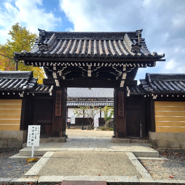f:id:atoriatoriatori:20231205203238j:image