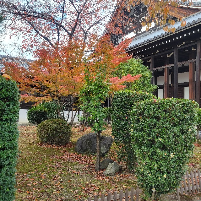 f:id:atoriatoriatori:20231206083150j:image
