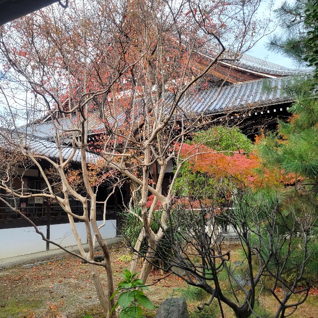f:id:atoriatoriatori:20231206084756j:image