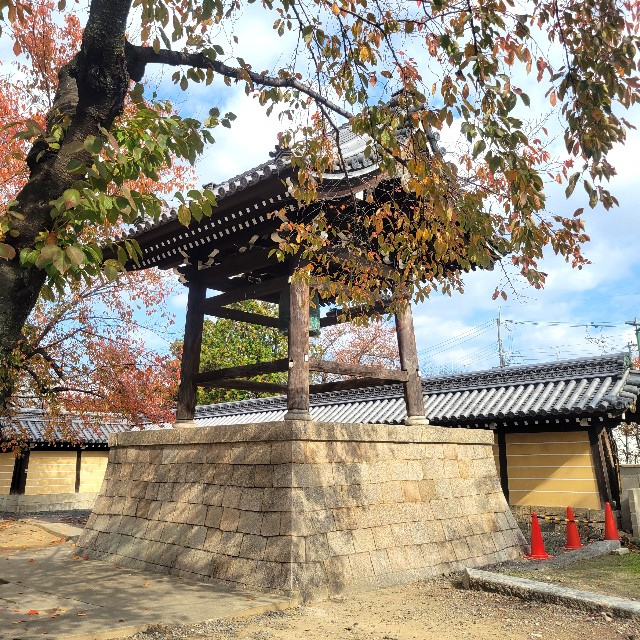 f:id:atoriatoriatori:20231206085600j:image