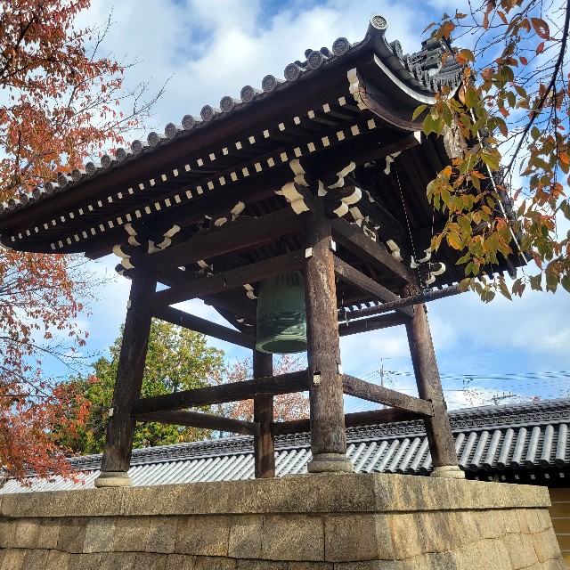 f:id:atoriatoriatori:20231206085608j:image