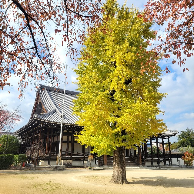 f:id:atoriatoriatori:20231206093447j:image