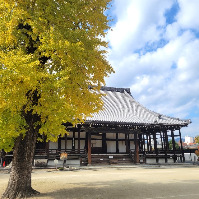 f:id:atoriatoriatori:20231206093519j:image