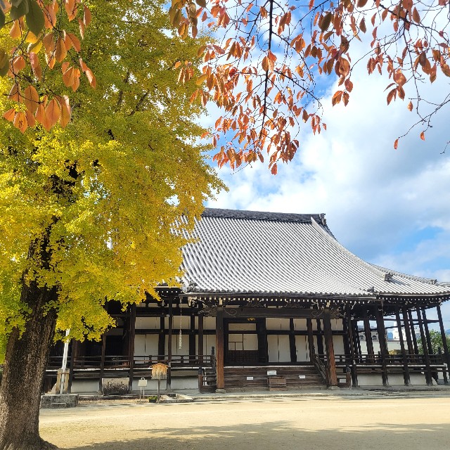 f:id:atoriatoriatori:20231206093554j:image