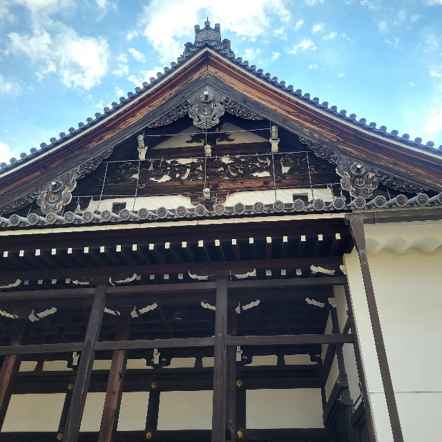 f:id:atoriatoriatori:20231206093812j:image