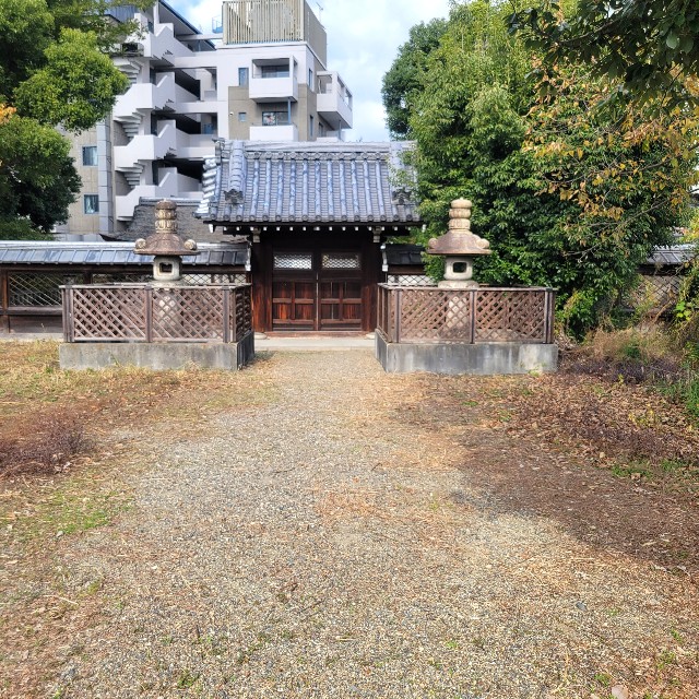 f:id:atoriatoriatori:20231206094634j:image